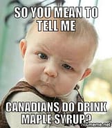 y22-so-you-mean-to-tell-me-canadians-do-drink-maple-syrup